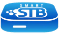 Smart STB